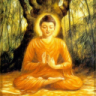 Bodhisattva