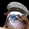 CaptainSloth